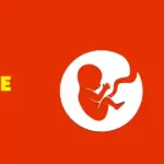 BitLife Simulator 1 BitLife Simulator